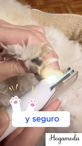 Cortaúñas para Mascotas con Luz LED